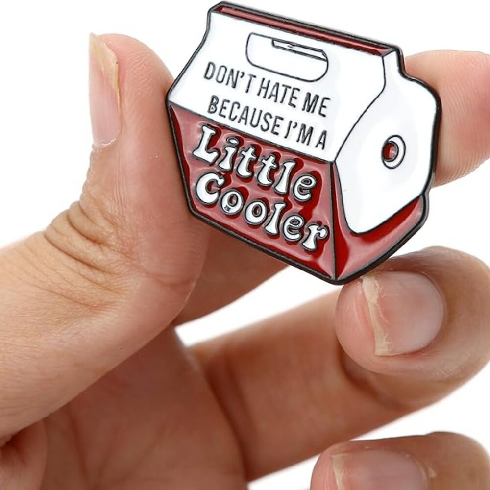 SET OF 2 Pins Brooch Don't Hate Me Because I'm a Little Cooler Funny Sarcastic